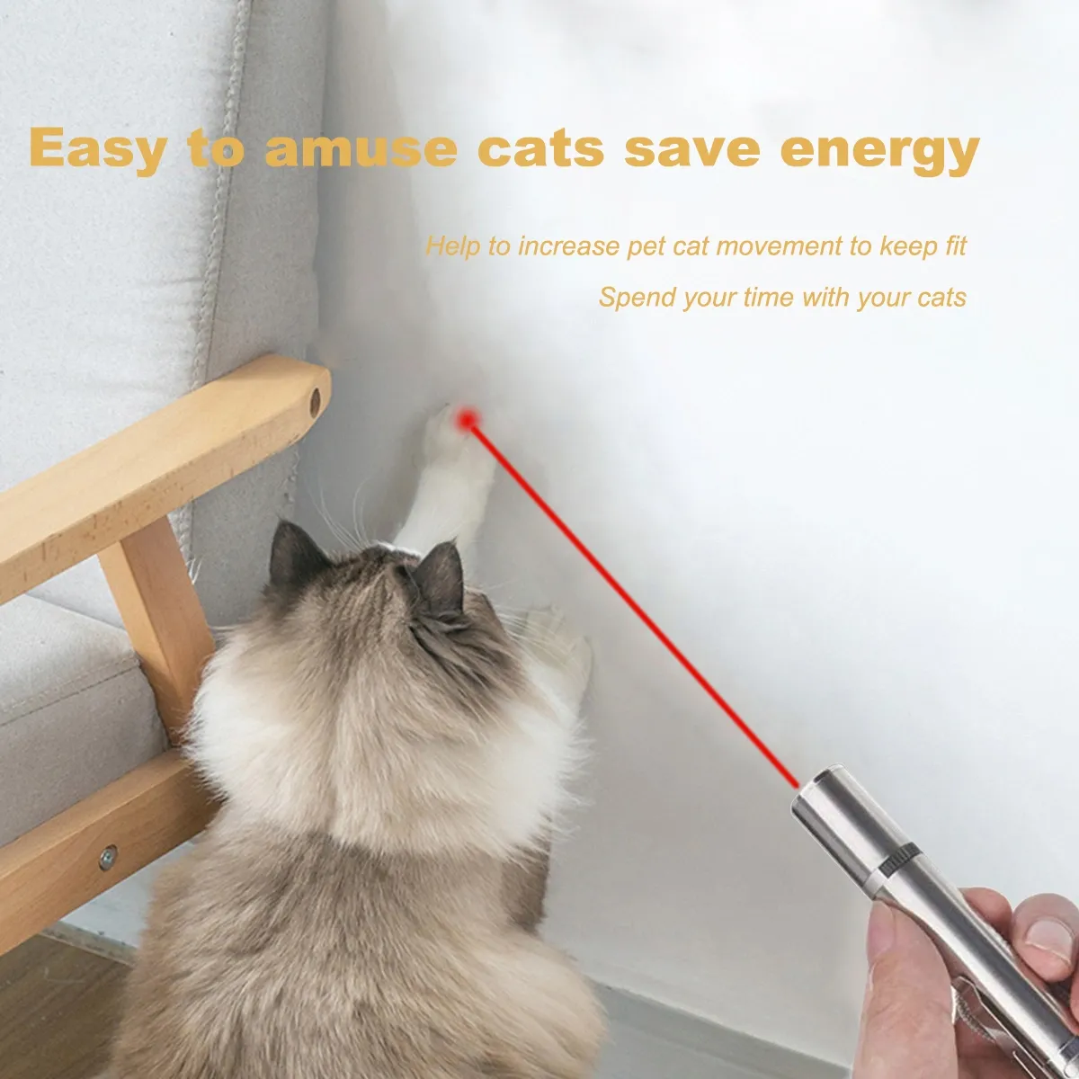 Cat LED Pointer Training Exercise Toy