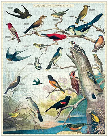 Cavallini & Co. Audubon Birds 1000 Piece Puzzle