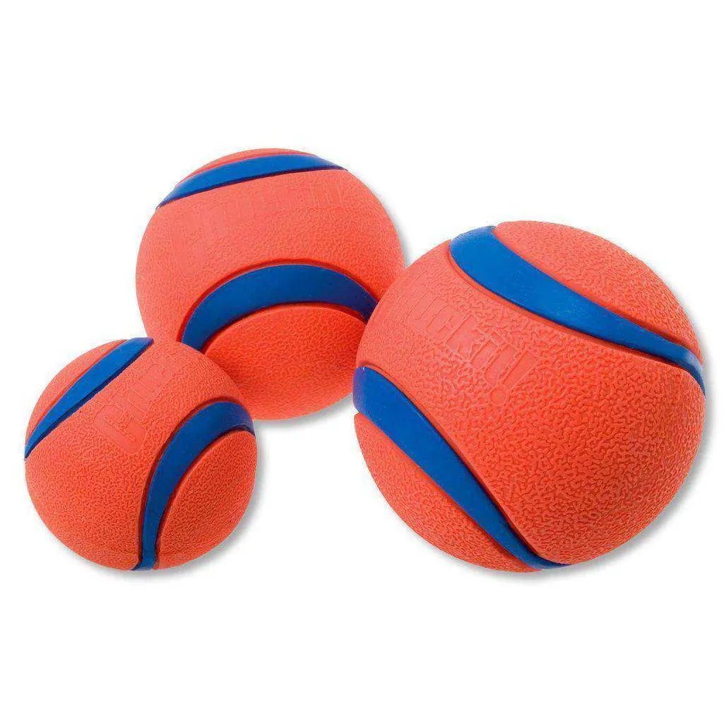 Chuckit Ultra Ball Dog Toy