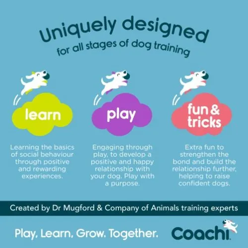 Coachi Navy & Lime Fetch & Reward Training Toy