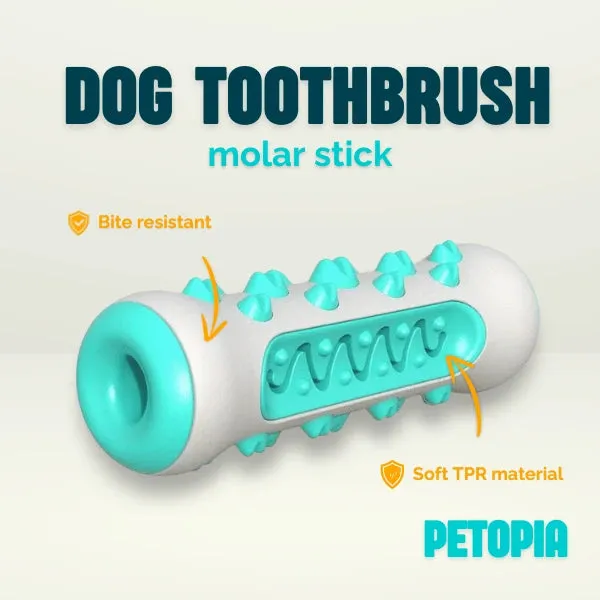 Dog Toothbrush Molar Stick Toy