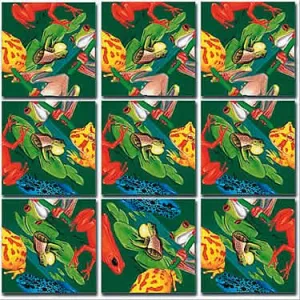 Frogs Puzzle