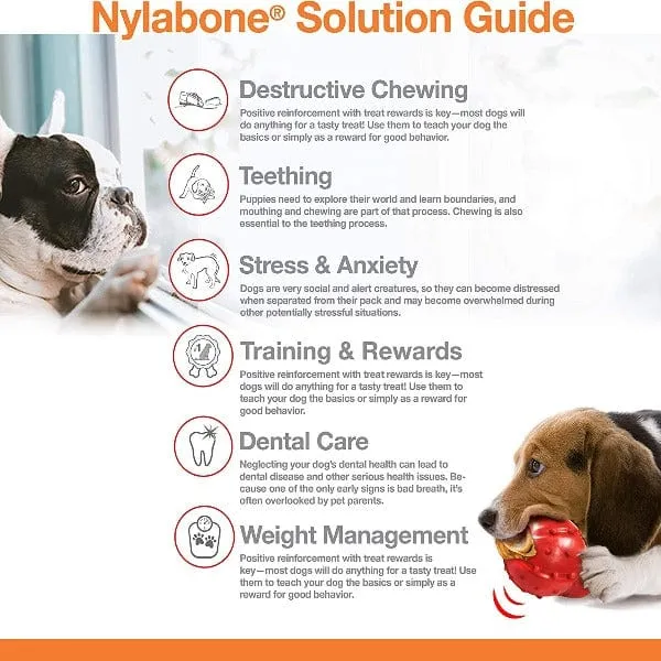 Nylabone DuraChew Textured Chicken Bone