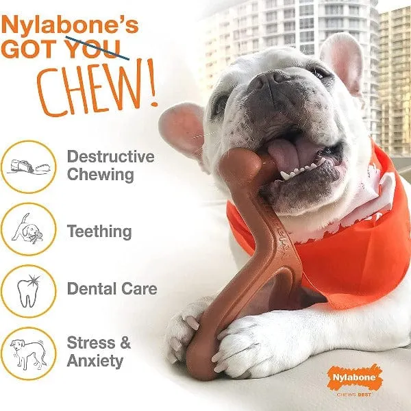 Nylabone DuraChew Textured Chicken Bone