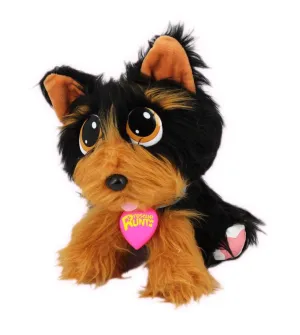 Rescue Runts Series 2 Yorkie