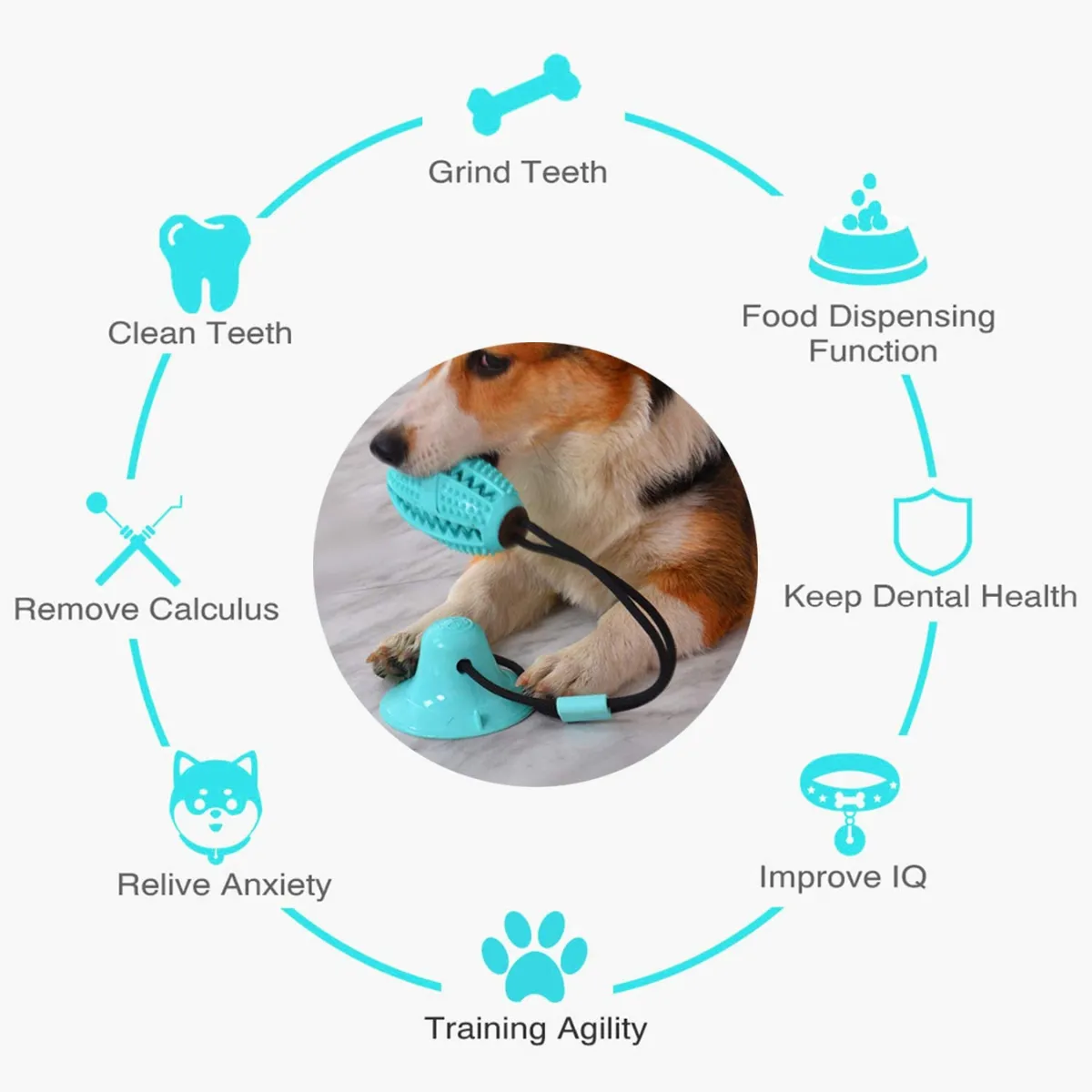 Single Suction Multifunction Interactive Molar Chew Dog Toy