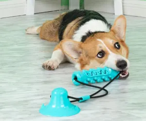 Single Suction Multifunction Interactive Molar Chew Dog Toy