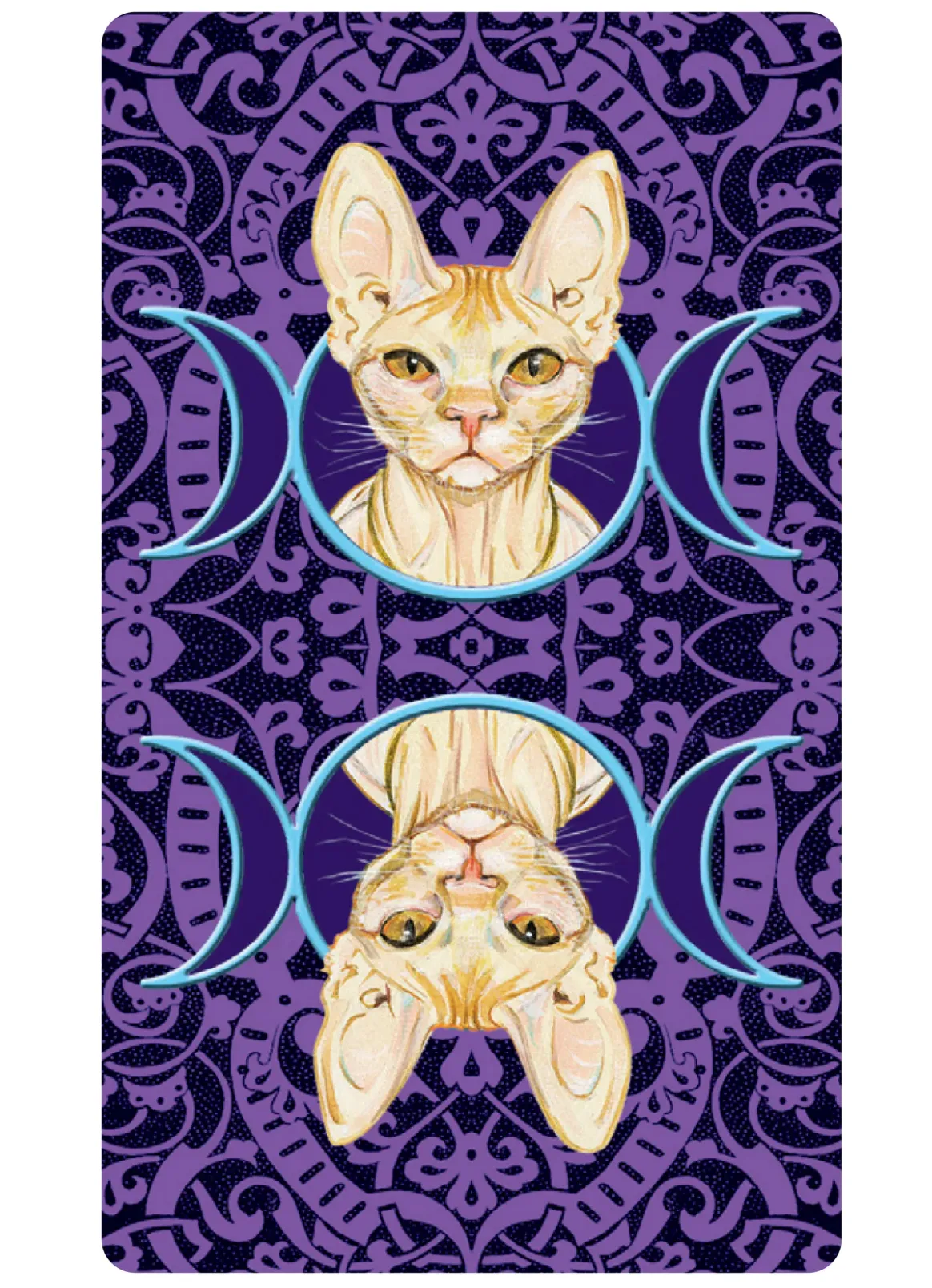 Tarot of Pagan Cats Mini Deck