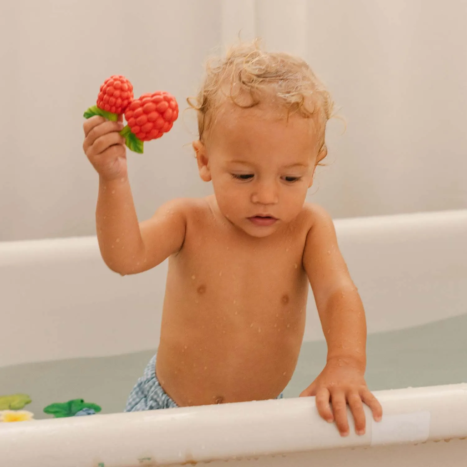 Valery the Raspberry Baby Teether