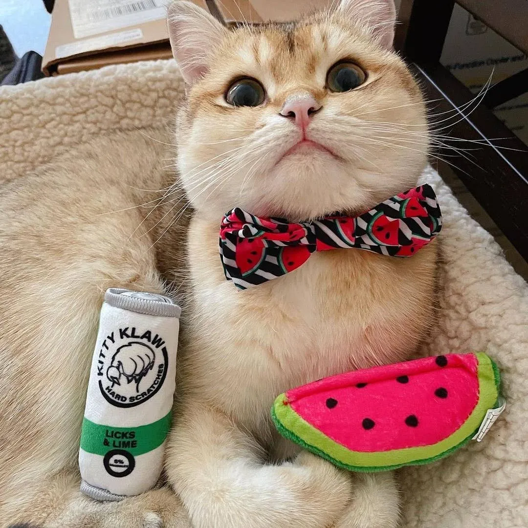 Watermelon Plush Toy For Cats